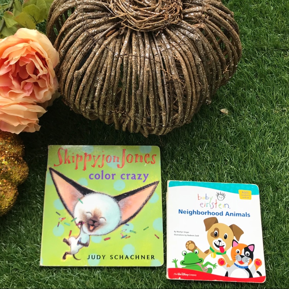 2 Book Bundle of Baby Board Books